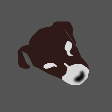 codeDog
